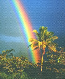 Rainbow in Tahiti